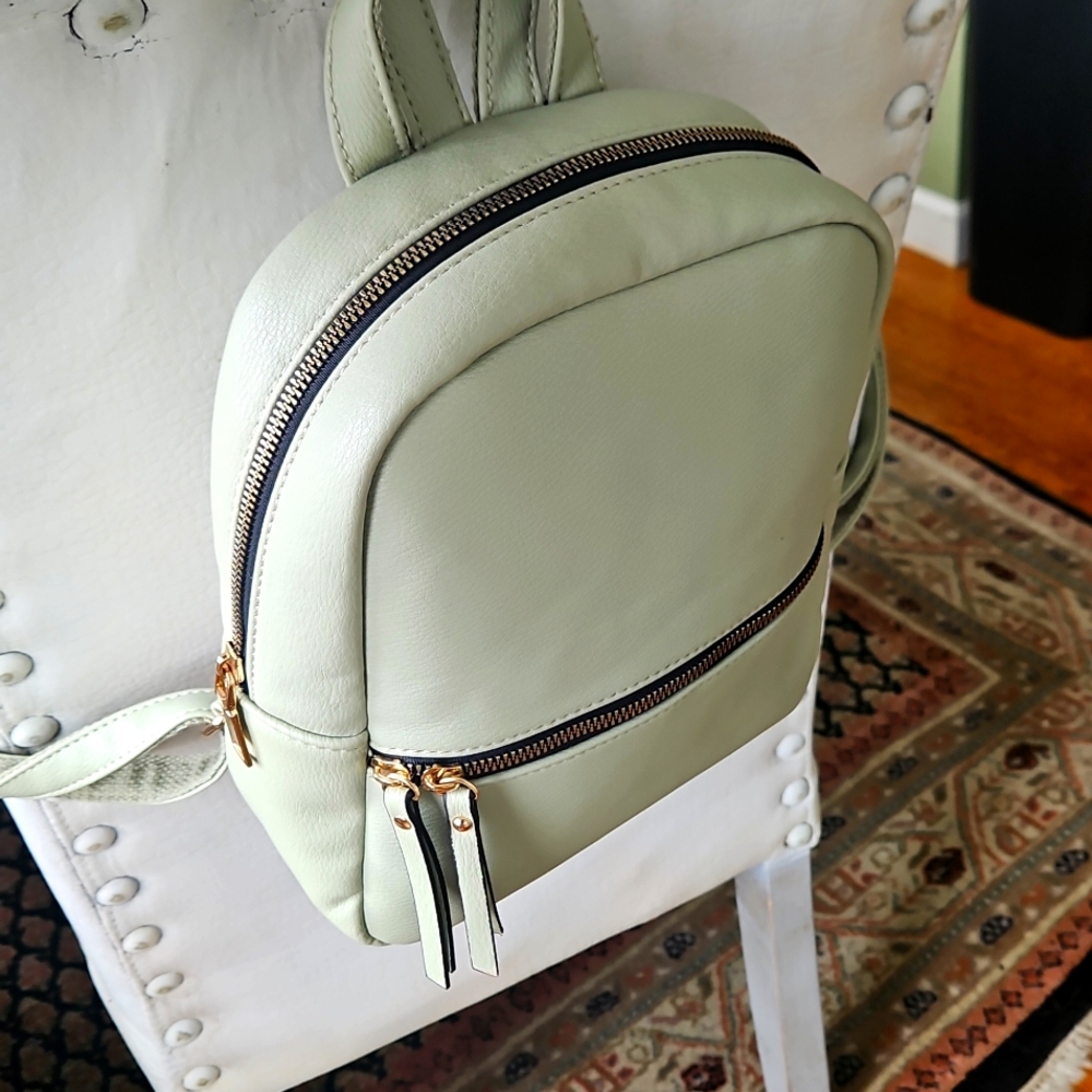 Women's small backpack purse neutral Light Green With Lined Pockets